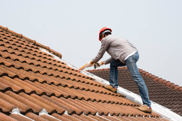 Best Solar Panel Roofing Installation  in Longview Heights, WA