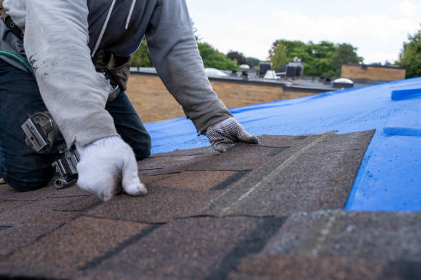 Best Roof Leak Repair  in Longview Heights, WA