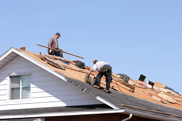Best Metal Roofing Installation  in Longview Heights, WA